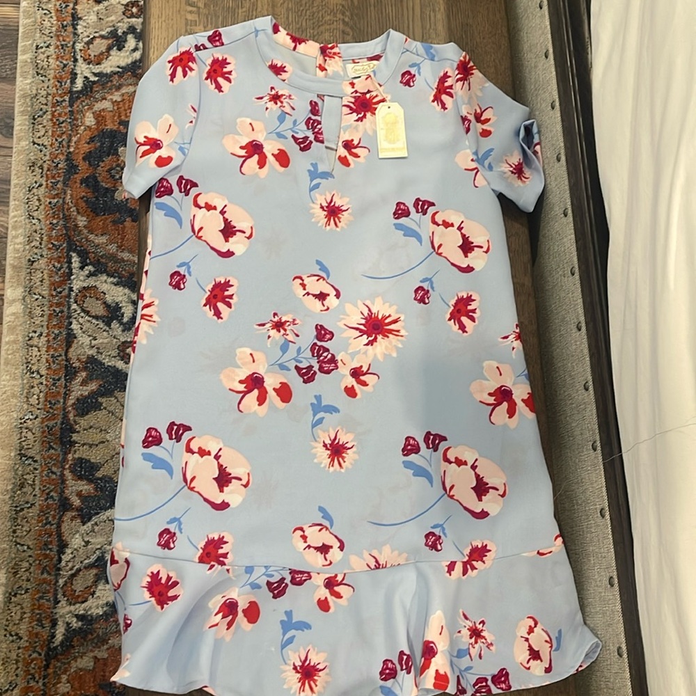 Small Mud pie dress NWT